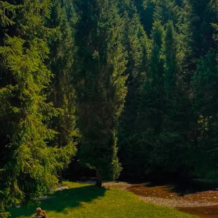 Osrodek Nad Potokiem-domek Nr13 Дом отдыха